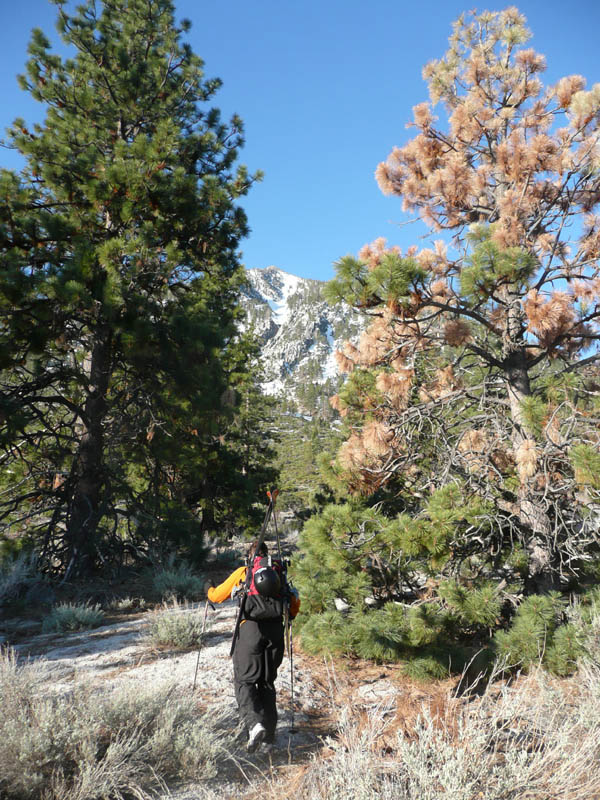 Hiking Lake Tahoe Jobs Peak